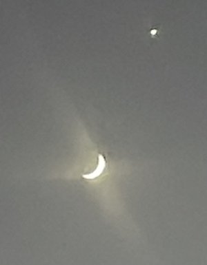 IMG_2258.jpeg