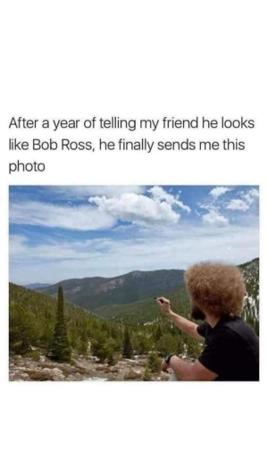 1733369172216.png