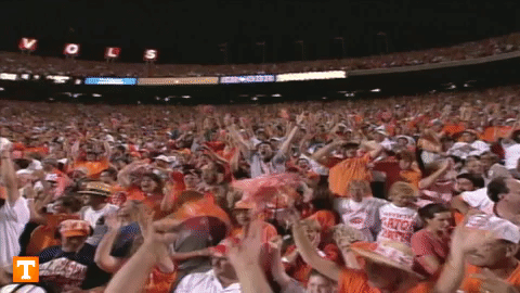 giphy-4265164275.gif