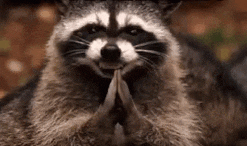 1733488757164.gif