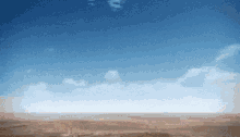 IMG_0112.gif