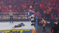 1734204075767.gif