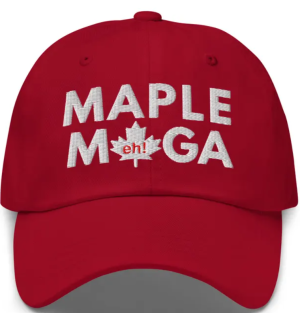 1734378321561.png
