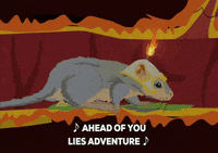 IMG_6492.gif