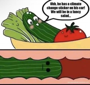 IMG_0264.jpeg