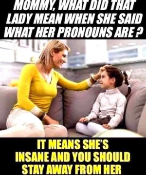 1735345063814.jpeg