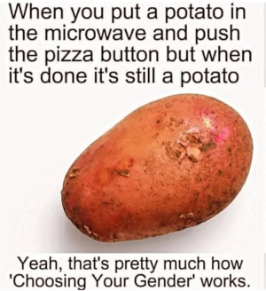 1735374952443.png