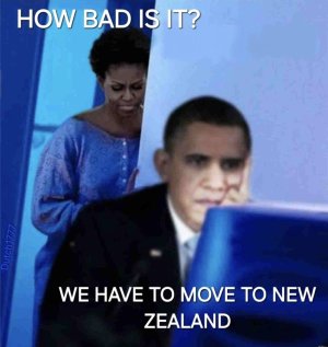 1735398833425.jpeg