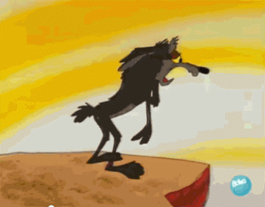 coyote ive GIF - Find & Share on GIPHY.gif