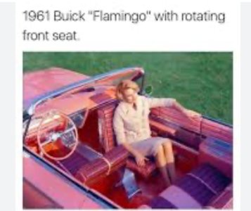 IMG_2554.jpeg