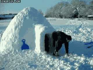 1606261025_1854019.gif