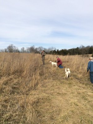 IMG_0261.jpeg