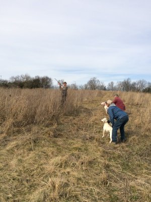 IMG_0262.jpeg