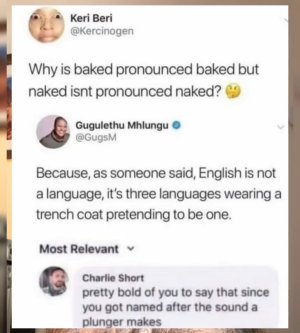 1000004700.jpg