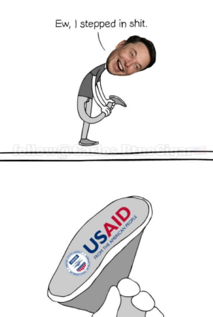 1738987705185.png