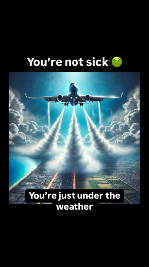 1739053940133.png