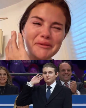 1739088258189.png