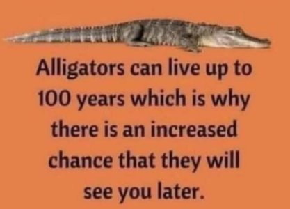 480167334_10228297378194291_5937751146310674642_n.jpg