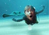 4470190.gif