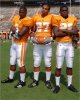3backsMedia07.jpg