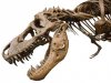 dinosaur.jpg