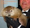 groundhogBOWL.jpg