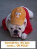 GOVOLS.jpg