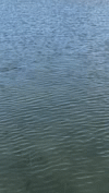 IMG_7630.gif IMG_7630.gif
