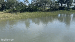 IMG_7632.gif IMG_7632.gif