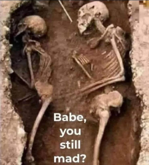 1740349882502.png