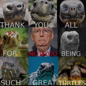 1740350974824.png