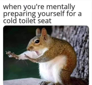 1740355494234.png
