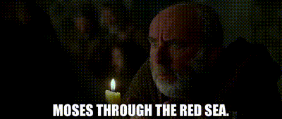 IMG_7650.gif