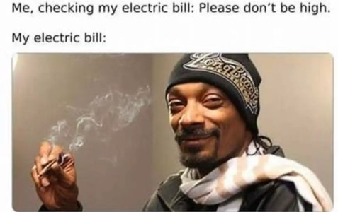 IMG_2369.jpeg