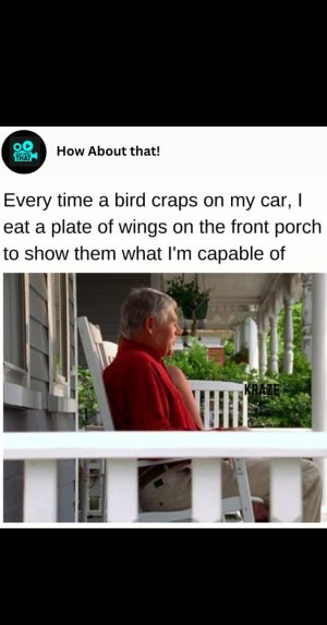 IMG_0456.jpeg