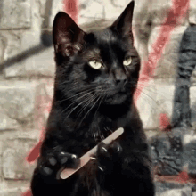 1742570484753.gif
