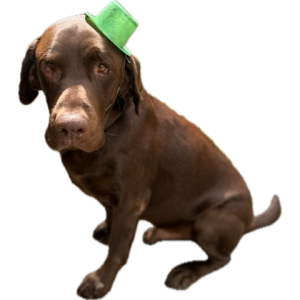 1742591251547.png
