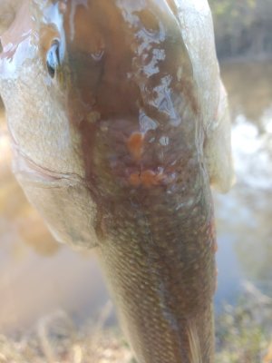 20250321_181131.jpg
