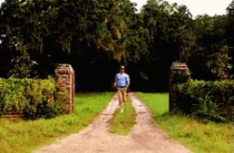 1742703264629.gif