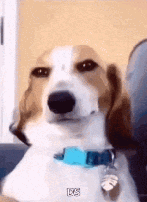 1742762200765.gif