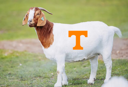 1742763771891.png