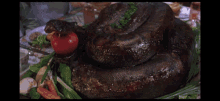 IMG_8219.gif