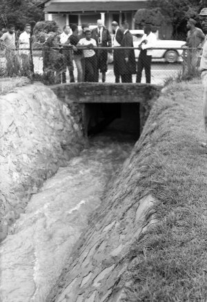 TD01863.jpg