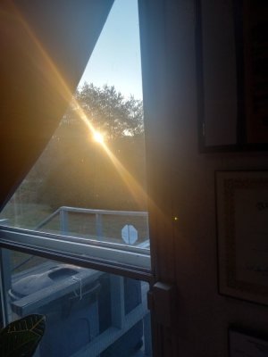 20250326_080121.jpg