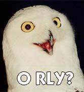 orly.jpg
