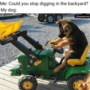 1743098698028.png