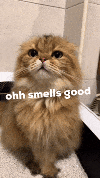 1743128952745.gif