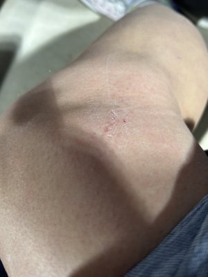 IMG_3333.jpeg