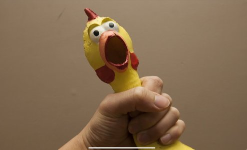 IMG_2986.jpeg