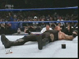 1743363948790.gif